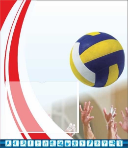 Стенд "Спортивный (волейбол)" - fgospostavki.ru - Зеленогорск