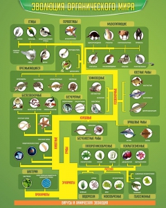 Стенд "Многообразие органического мира" - fgospostavki.ru - Зеленогорск