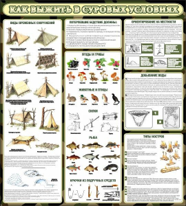 Стенд информационный "Как выжить в суровых условиях" - fgospostavki.ru - Зеленогорск