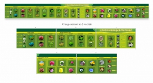 Стенд "Классификация растений" - fgospostavki.ru - Зеленогорск