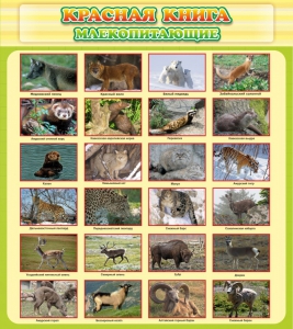 Стенд "Красная книга - млекопитающие" - fgospostavki.ru - Зеленогорск