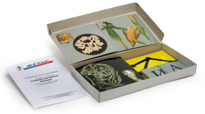 Модель-аппликация "Основные направления эволюции" (набор из 33 карт) - fgospostavki.ru - Зеленогорск