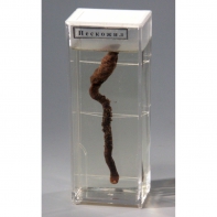 Влажный препарат "Пескожил" - fgospostavki.ru - Зеленогорск