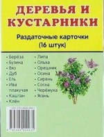 Раздаточные карточки "Деревья и кустарники" - fgospostavki.ru - Зеленогорск
