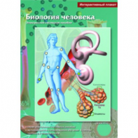 Интерактивные плакаты. Биология человека. Программно-методический комплекс - fgospostavki.ru - Зеленогорск