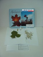 Гербарий "Медоносные растения" (24 вида) - fgospostavki.ru - Зеленогорск