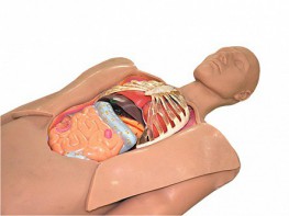 Муляж оперируемого пациента с экскурсией в грудную клетку и маской наркоза - fgospostavki.ru - Зеленогорск