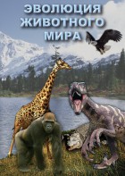 DVD "Эволюция животного мира" - fgospostavki.ru - Зеленогорск