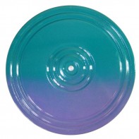 Диск здоровья (многоцветный) - fgospostavki.ru - Зеленогорск