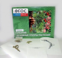 Гербарий "Основные группы растений" (52 листа) - fgospostavki.ru - Зеленогорск