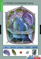 Комплект таблиц. Биология. Вещества растений. Клеточное строение. - fgospostavki.ru - Зеленогорск
