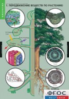 Комплект таблиц. Биология. Растение – живой организм. - fgospostavki.ru - Зеленогорск