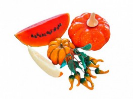 Набор муляжей "Бахчевые культуры" - fgospostavki.ru - Зеленогорск