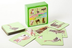 Набор магнитных карточек "Устный счет" (фон зеленый) - fgospostavki.ru - Зеленогорск