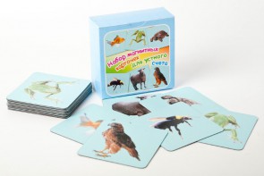 Набор магнитных карточек "Устный счет" (фон голубой) - fgospostavki.ru - Зеленогорск