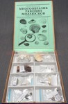 Коллекция "Многообразие раковин моллюсков" - fgospostavki.ru - Зеленогорск