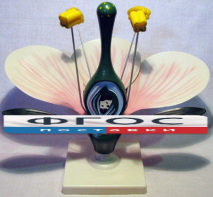 Модель "Цветок яблони" - fgospostavki.ru - Зеленогорск