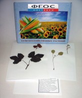 Гербарий "Сельскохозяйственные растения" (28 видов) - fgospostavki.ru - Зеленогорск