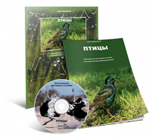 Электронное наглядное пособие «Птицы» - fgospostavki.ru - Зеленогорск