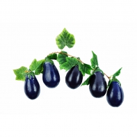 Ветка муляжей "Баклажаны" - fgospostavki.ru - Зеленогорск