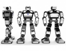 Образовательная платформа для обучения программирования гуманоидный робот Yanshee - fgospostavki.ru - Зеленогорск