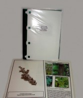 Гербарий "Эволюция высших растений" (ламинированный) - fgospostavki.ru - Зеленогорск