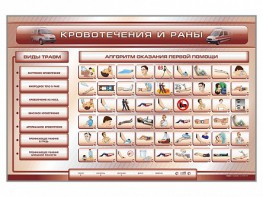Трехсекционный базовый комплект "Травмы. Кровотечения. Ожоги" для учащихся общеобразовательных учреждений - fgospostavki.ru - Зеленогорск