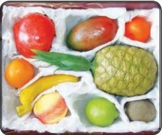 Набор муляжей тропических фруктов - fgospostavki.ru - Зеленогорск