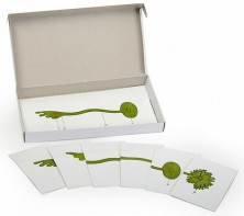 Модель-аппликация "Роль ядра в регуляции развития организма" (набор из 8 карт) - fgospostavki.ru - Зеленогорск