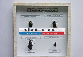 Коллекция энтомологическая "Приспособительные изменения в конечностях насекомых" - fgospostavki.ru - Зеленогорск