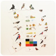 Набор магнитных карточек "Загадки-отрицания". Птицы - fgospostavki.ru - Зеленогорск