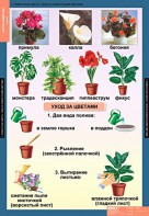 Комплект таблиц. Окружающий мир 1 класс. - fgospostavki.ru - Зеленогорск