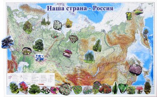 Магнитные карточки "Растения" - fgospostavki.ru - Зеленогорск