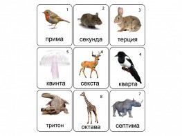 Набор магнитных карточек по музыке "Животные" (9 штук) - fgospostavki.ru - Зеленогорск
