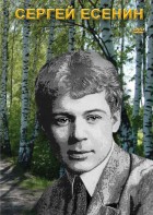 DVD "Сергей Есенин" - fgospostavki.ru - Зеленогорск