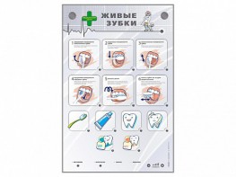 Интерактивный стенд "Живые зубки" - fgospostavki.ru - Зеленогорск