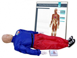 "Александр-01" тренажер-манекен взрослого пострадавшего для отработки приемов сердечно-легочной реанимации (голова, туловище, конечности) с контроллером и настенным табло - fgospostavki.ru - Зеленогорск