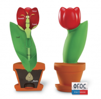 Модель цветка - fgospostavki.ru - Зеленогорск