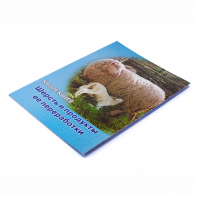 Коллекция "Шерсть и продукты ее переработки" - fgospostavki.ru - Зеленогорск