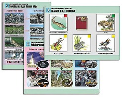 Комплект таблиц "Окружающий мир. Экология" (6 таблиц, А1, ламинированные) - fgospostavki.ru - Зеленогорск