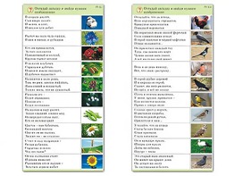 Комплект карточек (10) "Обучающий калейдоскоп. Природа" - fgospostavki.ru - Зеленогорск