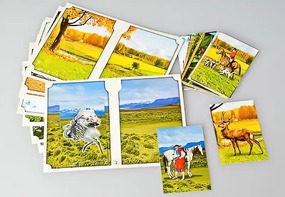 Настольно-печатная игра "Вокруг света" - fgospostavki.ru - Зеленогорск