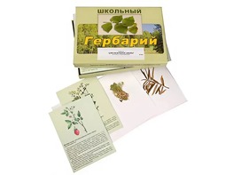 Гербарий "Для начальной школы" (30 видов, с иллюстрациями) - fgospostavki.ru - Зеленогорск