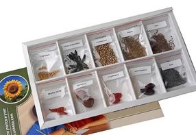 Коллекция "Плоды сельскохозяйственных растений" - fgospostavki.ru - Зеленогорск