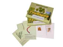 Гербарий "Основные группы растений. Грибы. Лишайники" (53 листа, с иллюстрациями и фотографиями) - fgospostavki.ru - Зеленогорск