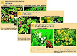 Гербарий фотографический "Ядовитые растения" - fgospostavki.ru - Зеленогорск