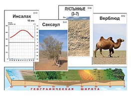 Модель-аппликация "Природные зоны" - fgospostavki.ru - Зеленогорск