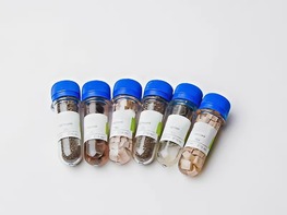 Набор № 6 ОС Щелочные и щелочноземельные металлы - fgospostavki.ru - Зеленогорск