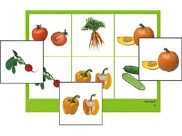 Логопедическое лото "Овощи" (4 планшета, 24 карточки, цветное, ламинированное) - fgospostavki.ru - Зеленогорск