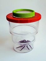 Коробка для изучения насекомых (с лупой) - fgospostavki.ru - Зеленогорск